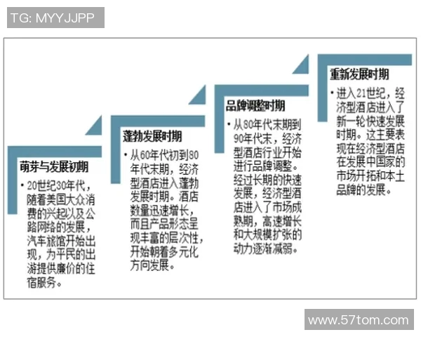 武汉排球队的运营模式与发展策略深度解析